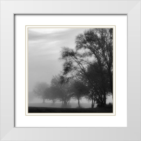 Fog Through the Trees II White Modern Wood Framed Art Print with Double Matting by Romita, Denise