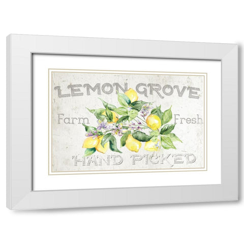 Lemon  Grove I White Modern Wood Framed Art Print with Double Matting by Tre Sorelle Studios