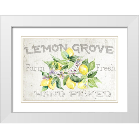 Lemon  Grove I White Modern Wood Framed Art Print with Double Matting by Tre Sorelle Studios