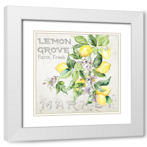 Lemon  Grove II White Modern Wood Framed Art Print with Double Matting by Tre Sorelle Studios