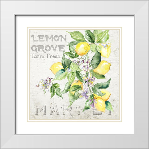 Lemon  Grove II White Modern Wood Framed Art Print with Double Matting by Tre Sorelle Studios