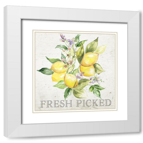 Lemon  Grove III White Modern Wood Framed Art Print with Double Matting by Tre Sorelle Studios