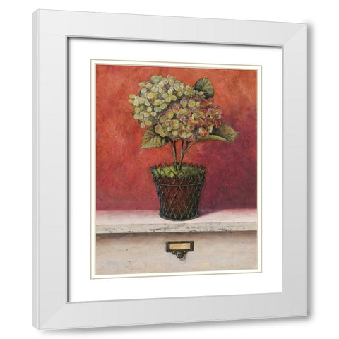 Hortensia Study White Modern Wood Framed Art Print with Double Matting by Fisk, Arnie