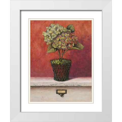 Hortensia Study White Modern Wood Framed Art Print with Double Matting by Fisk, Arnie