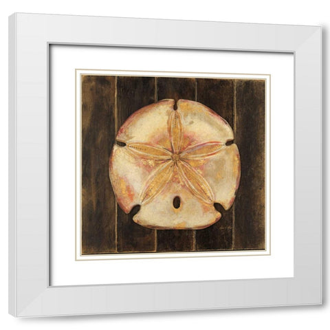 Ocean Sand Dollar White Modern Wood Framed Art Print with Double Matting by Fisk, Arnie