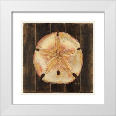 Ocean Sand Dollar White Modern Wood Framed Art Print with Double Matting by Fisk, Arnie
