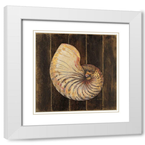 Ocean Nautilus White Modern Wood Framed Art Print with Double Matting by Fisk, Arnie