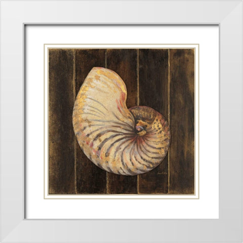 Ocean Nautilus White Modern Wood Framed Art Print with Double Matting by Fisk, Arnie