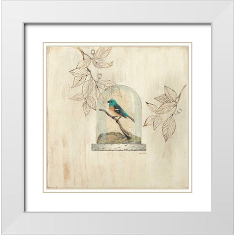 Aviary Display White Modern Wood Framed Art Print with Double Matting by Fisk, Arnie