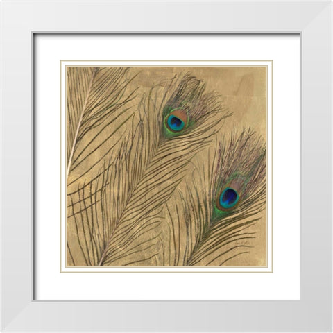 Leafed Peacock Feathers  White Modern Wood Framed Art Print with Double Matting by Fisk, Arnie