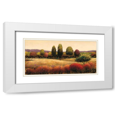 Vista White Modern Wood Framed Art Print with Double Matting by Wiens, James