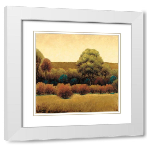 Amber Horizon 2 White Modern Wood Framed Art Print with Double Matting by Wiens, James