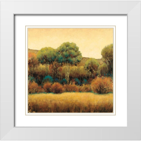 Amber Horizon 1 White Modern Wood Framed Art Print with Double Matting by Wiens, James