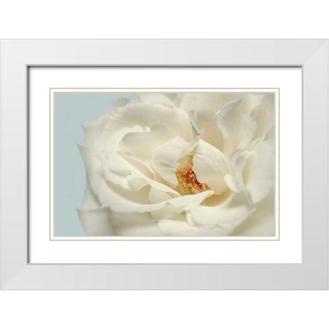 Now Calm White Modern Wood Framed Art Print with Double Matting by Greenwood, Julie