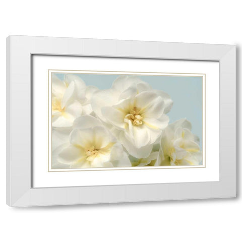 Winter Whites White Modern Wood Framed Art Print with Double Matting by Greenwood, Julie