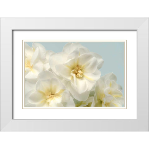 Winter Whites White Modern Wood Framed Art Print with Double Matting by Greenwood, Julie