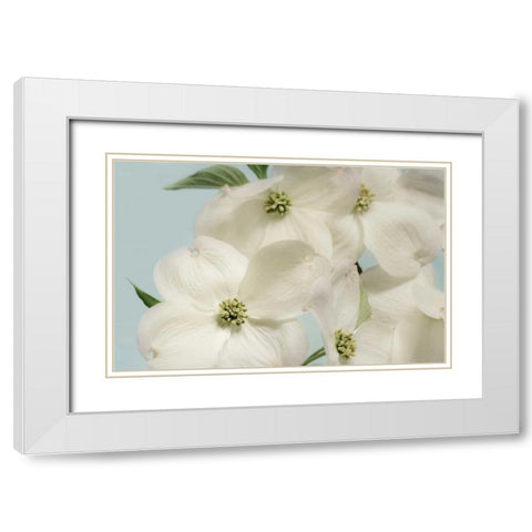 Spring Whites White Modern Wood Framed Art Print with Double Matting by Greenwood, Julie