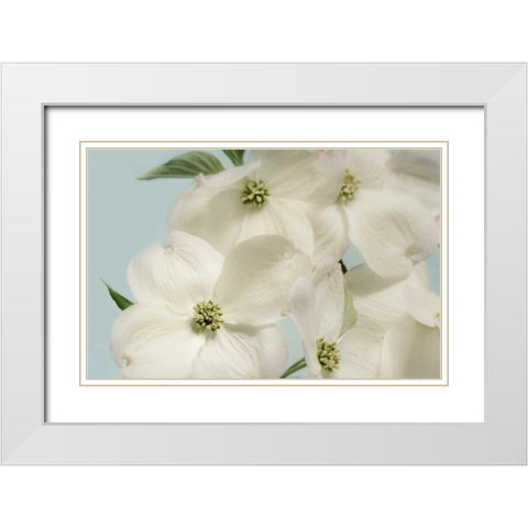 Spring Whites White Modern Wood Framed Art Print with Double Matting by Greenwood, Julie