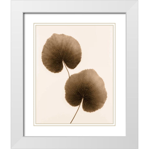 Galax Leaf White Modern Wood Framed Art Print with Double Matting by Greenwood, Julie