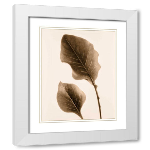 Philodendron Leaf White Modern Wood Framed Art Print with Double Matting by Greenwood, Julie