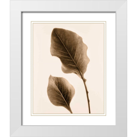 Philodendron Leaf White Modern Wood Framed Art Print with Double Matting by Greenwood, Julie