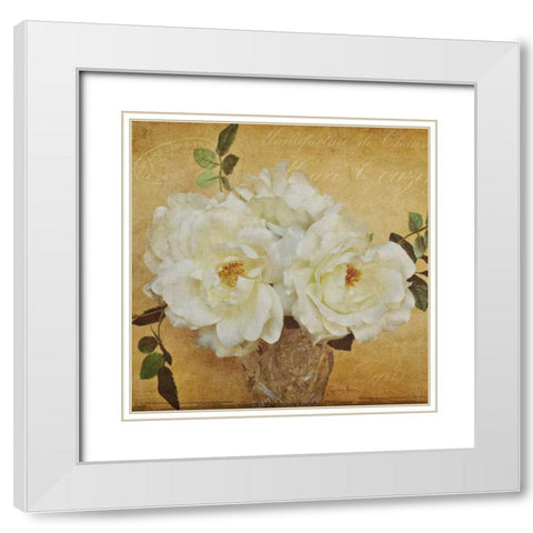 Garden Sentiments White Modern Wood Framed Art Print with Double Matting by Atria, Cristin
