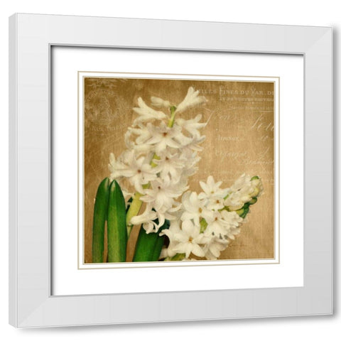 Scent of A Flower White Modern Wood Framed Art Print with Double Matting by Atria, Cristin