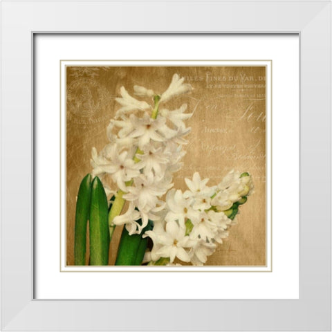 Scent of A Flower White Modern Wood Framed Art Print with Double Matting by Atria, Cristin