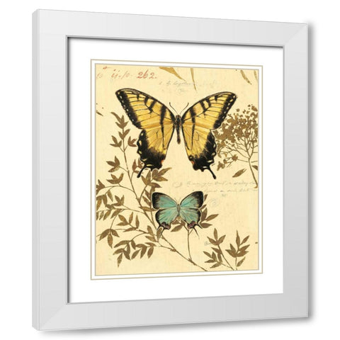 Natures Curiosities 6 White Modern Wood Framed Art Print with Double Matting by Barrett, Chad