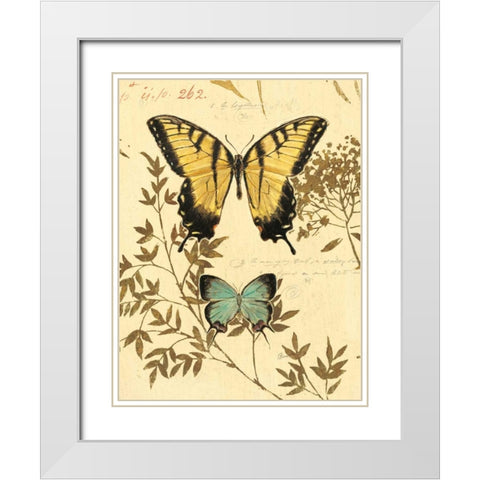 Natures Curiosities 6 White Modern Wood Framed Art Print with Double Matting by Barrett, Chad