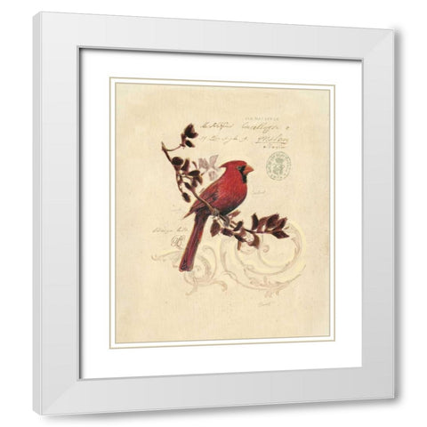 Filigree Cardinal White Modern Wood Framed Art Print with Double Matting by Barrett, Chad