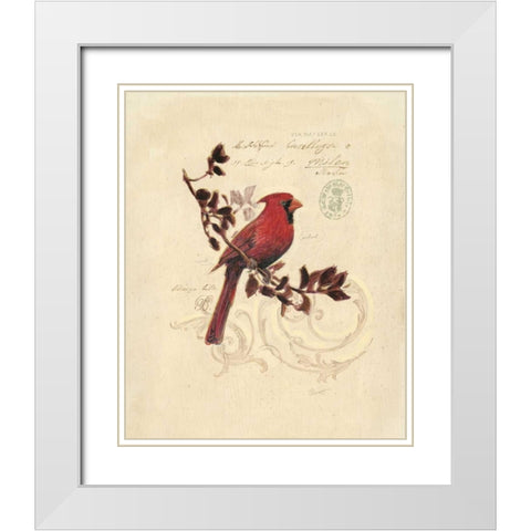 Filigree Cardinal White Modern Wood Framed Art Print with Double Matting by Barrett, Chad
