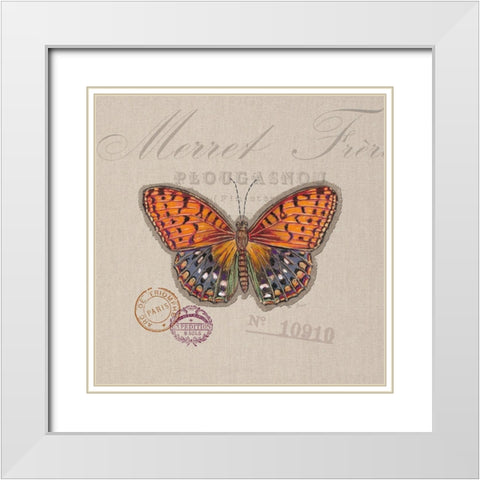 Butterfly Species 1 White Modern Wood Framed Art Print with Double Matting by Barrett, Chad