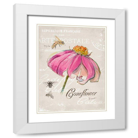 Sketchbook Coneflower  White Modern Wood Framed Art Print with Double Matting by Barrett, Chad