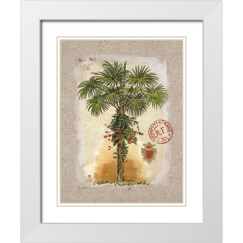 Linen Fan Palm Tree White Modern Wood Framed Art Print with Double Matting by Barrett, Chad