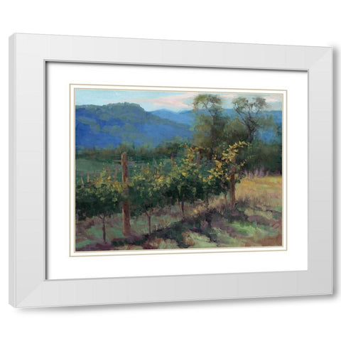 Vineyard On The Hill White Modern Wood Framed Art Print with Double Matting by McGannon, Jill Schultz