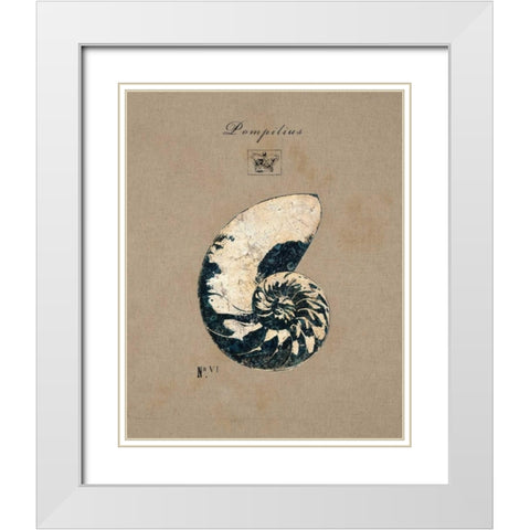 Vintage Linen Nautilus White Modern Wood Framed Art Print with Double Matting by Regina Andrew Design