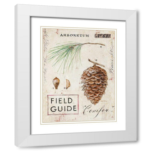 Natures Pinecone White Modern Wood Framed Art Print with Double Matting by Staehling, Angela
