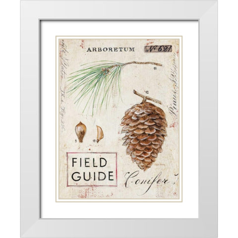 Natures Pinecone White Modern Wood Framed Art Print with Double Matting by Staehling, Angela