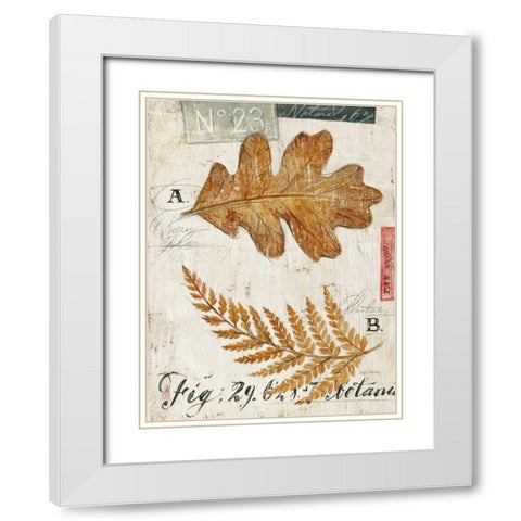 Natures Leaves White Modern Wood Framed Art Print with Double Matting by Staehling, Angela