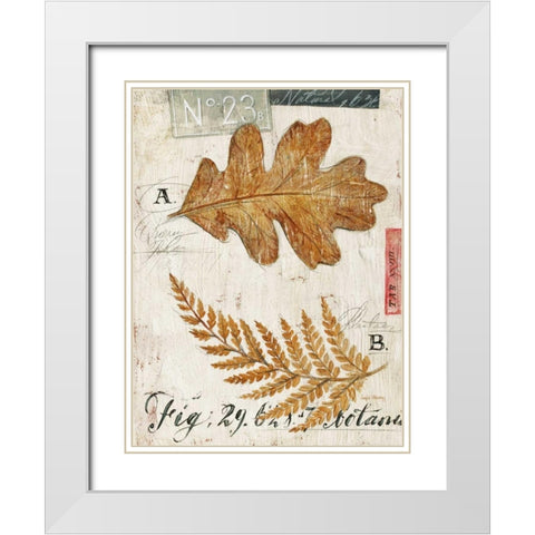 Natures Leaves White Modern Wood Framed Art Print with Double Matting by Staehling, Angela