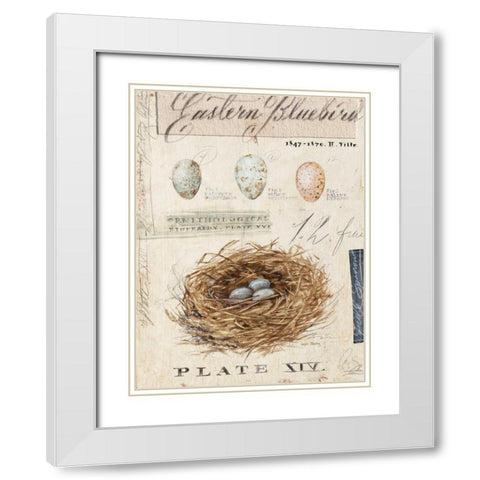 Natures Nest White Modern Wood Framed Art Print with Double Matting by Staehling, Angela