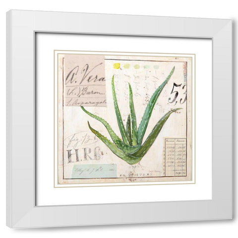 Aloe Vera-Sketchbook White Modern Wood Framed Art Print with Double Matting by Staehling, Angela