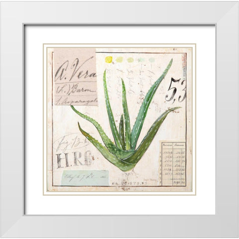 Aloe Vera-Sketchbook White Modern Wood Framed Art Print with Double Matting by Staehling, Angela