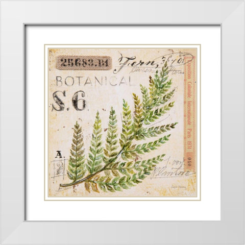 Fern Leaf-Sketchbook White Modern Wood Framed Art Print with Double Matting by Staehling, Angela
