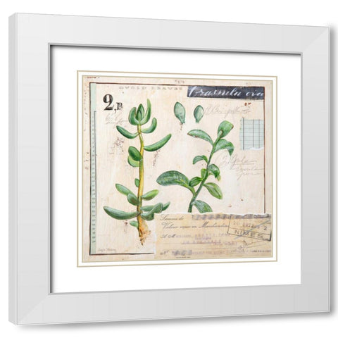 Jade-Sketchbook White Modern Wood Framed Art Print with Double Matting by Staehling, Angela