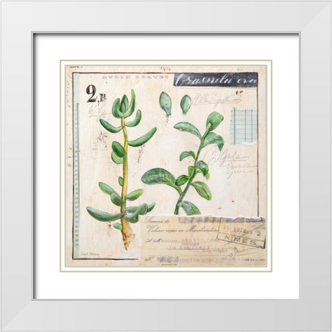 Jade-Sketchbook White Modern Wood Framed Art Print with Double Matting by Staehling, Angela