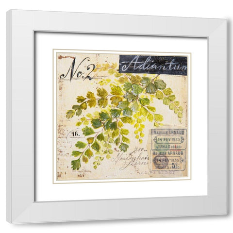 Maidenhair Fern-Sketchbook White Modern Wood Framed Art Print with Double Matting by Staehling, Angela