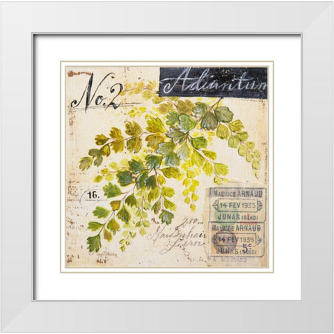 Maidenhair Fern-Sketchbook White Modern Wood Framed Art Print with Double Matting by Staehling, Angela