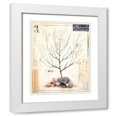 Coral Sketchbook White Modern Wood Framed Art Print with Double Matting by Staehling, Angela